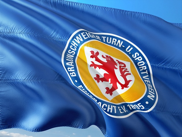 洲强国进行